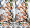 Evenement foto: 2007