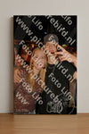 Evenement foto: 2772