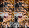 Evenement foto: 2771