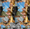 Evenement foto: 2771