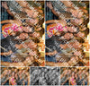 Evenement foto: 2771