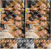 Evenement foto: 2770