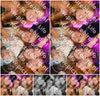 Evenement foto: 2770
