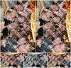 Evenement foto: 2770