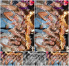Evenement foto: 2770