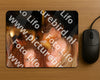 Evenement foto: 2770