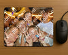 Evenement foto: 2770