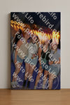 Evenement foto: 2769
