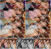Evenement foto: 2769