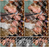Evenement foto: 2769