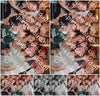 Evenement foto: 2769