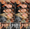 Evenement foto: 2769