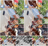 Evenement foto: 2767