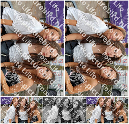 Evenement foto: 2767