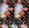 Evenement foto: 2762