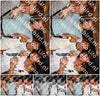 Evenement foto: 2762