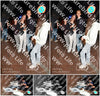 Evenement foto: 2761