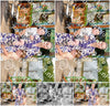 Evenement foto: 2758