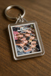 Evenement foto: 708