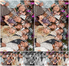 Evenement foto: 705