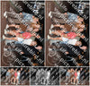 Evenement foto: 2834