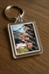 Evenement foto: 2834
