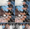 Evenement foto: 2832