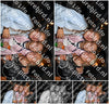 Evenement foto: 2832
