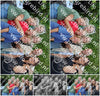 Evenement foto: 2803