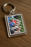 Evenement foto: 2803