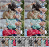 Evenement foto: 2803