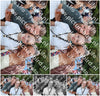 Evenement foto: 2803