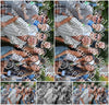 Evenement foto: 2775