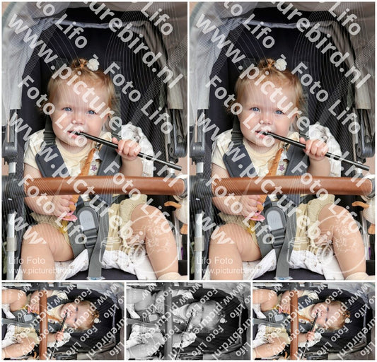 Evenement foto: 2774