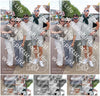 Evenement foto: 2774