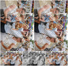 Evenement foto: 2773