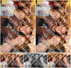 Evenement foto: 1295