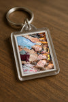 Evenement foto: 1295