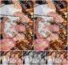 Evenement foto: 1295
