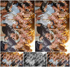 Evenement foto: 1295