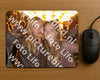Evenement foto: 1294
