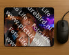 Evenement foto: 1207