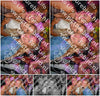 Evenement foto: 1207