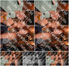 Evenement foto: 1205