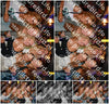 Evenement foto: 1203
