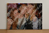Evenement foto: 1203