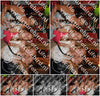 Evenement foto: 1203