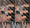 Evenement foto: 1202