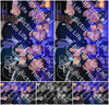 Evenement foto: 1201