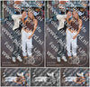 Evenement foto: 1199